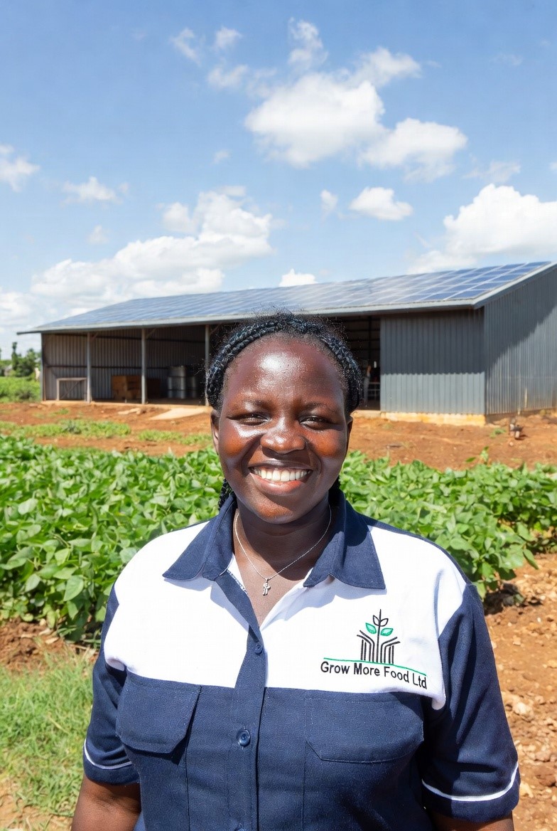 Solar Storage and Processing